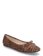 Nlfrosa Ballerina Shoe Ballerinasko Ballerinaer Brown LMTD