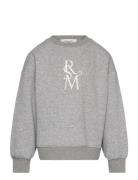 Sweatshirt Tops Sweatshirts & Hoodies Sweatshirts Grey Rosemunde Kids