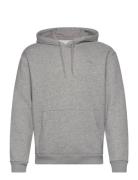 Hco. Guys Sweatshirts Tops Sweatshirts & Hoodies Hoodies Grey Hollister