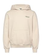 Anf Mens Sweatshirts Tops Sweatshirts & Hoodies Hoodies Cream Abercrombie & Fitch