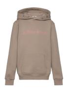 Borg Essential 3 Hoodie Tops Sweatshirts & Hoodies Hoodies Beige Björn Borg