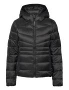 Hooded Fuji Quilt Padded Jkt Foret Jakke Black Superdry