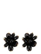 Pearl Cluster Earring Accessories Jewellery Earrings Studs Black By Jolima