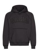 Hco. Guys Sweatshirts Tops Sweatshirts & Hoodies Hoodies Brown Hollister