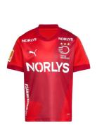 Dhf Home Jersey Jr Sport T-Kortærmet Skjorte Red PUMA