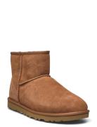 M Classic Mini Shoes Boots Winter Boots Brown UGG