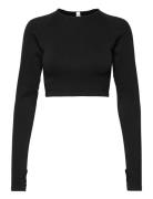 Sport Top Ella Seamless Long S Sport Crop Tops Long-sleeved Crop Tops Black Lindex