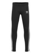 Leggings Sport Leggings Black Adidas Originals