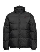 Waldenburg Jacket Designers Jackets Padded Jackets Black Dickies