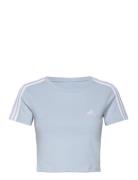 W 3S Baby T Sport Crop Tops Short-sleeved Crop Tops Blue Adidas Sportswear