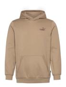 Ess Elevated Hoodie Fl Sport Men Sport Clothing Sport Sweatshirts & Hoodies Sport Hoodies Beige PUMA