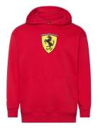 Ferrari Race Big Shield Hoodie Sport Sport Clothing Sport Sweatshirts & Hoodies Sport Hoodies Red PUMA Motorsport