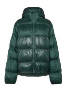 Adidas Originals Adicolor Down Regen Sport Men Sport Clothing Sport Outerwear Sport Jackets Sport Padded Jackets Green Adidas Originals