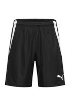 Teamliga Shorts Sport Sport Clothing Sport Shorts Sport Training Shorts Black PUMA