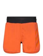 Agr Short Sport Men Sport Clothing Sport Shorts Sport Training Shorts Orange Adidas Terrex