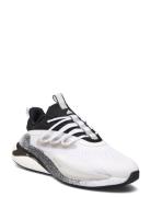 Alphaboost V2 Sport Sport Shoes Sport Sneakers Sport Low Top Sneakers White Adidas Sportswear