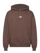 M Zumu Hoodie Sport Men Sport Clothing Sport Sweatshirts & Hoodies Sport Hoodies Brown The North Face