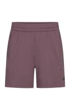 Adidas D4T Yoga Knit Short Sport Men Sport Clothing Sport Shorts Sport Training Shorts Burgundy Adidas Performance