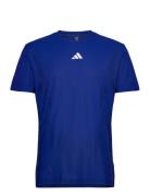 Airchil Tee Pro Sport Men Men Sports Clothes Sport Tops Sport T-Skjorte Blue Adidas Performance