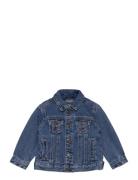 Cotton Denim Jacket Outerwear Jackets & Coats Denim & Corduroy Blue Mango