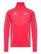 Tiro24 Wintop Sport Men Sport Clothing Sport Sweatshirts & Hoodies Sport Sweatshirts Red Adidas Performance