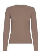 Lankae W L/S Tee Sport Women Sport Clothing Sports Tops & T-shirts Sport Long Sleeve Tops Brown Athlecia