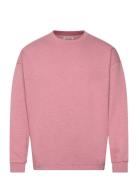 Essential 3 Crosses Program Sweatshirt Tops Sweatshirts & Hoodies Sweatshirts Pink Scotch & Soda