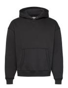 Hco. Guys Sweatshirts Tops Sweatshirts & Hoodies Hoodies Black Hollister