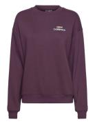 New Balance French Terry Over D Logo Crew Sport Women Sport Clothing Sport Sweatshirts & Hoodies Sport Sweatshirts Purple New Balance