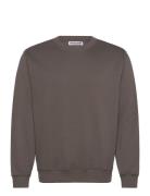 Standard Midweight Sweatshirt Tops Sweatshirts & Hoodies Sweatshirts Brown Weekday