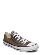 Ct A/S Seasnl Ox Charcoal Low-top Sneakers Brown Converse