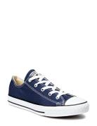 Chuck Taylor All Star Shoes Sneakers Canva Sneakers Navy Converse