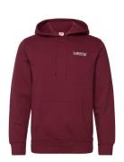 Standard Graphic Hoodie Rope B Tops Sweatshirts & Hoodies Hoodies Burgundy LEVI´S Men