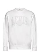 Relaxd Graphic Crew Tonal Athl Tops Sweatshirts & Hoodies Sweatshirts White LEVI´S Men