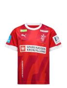 Dhf Home Jersey Jr Sport T-Kortærmet Skjorte Red PUMA