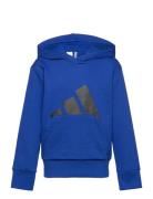 J Bl Ft Hd 280 Tops Sweatshirts & Hoodies Hoodies Blue Adidas Sportswear