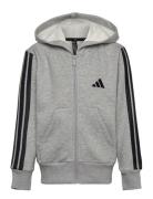 J 3S Fl Fz Hd Tops Sweatshirts & Hoodies Hoodies Grey Adidas Sportswear