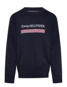 Monotype 1985 Reg Sweater Tops Sweatshirts & Hoodies Sweatshirts Navy Tommy Hilfiger