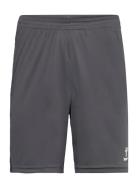 Hmlauthentic Pl Shorts Sport Sport Clothing Sport Shorts Sport Training Shorts Grey Hummel