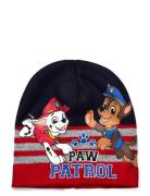 Cap Accessories Headwear Hats Beanie Navy Paw Patrol