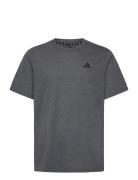 Tr-Es Fr T Sport Men Sports Clothes Sport Tops Sport T-Skjorte Grey Adidas Performance