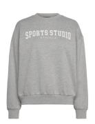 Giannis W Crew Neck Sport Sport Clothing Sport Sweatshirts & Hoodies Sport Sweatshirts Grey Athlecia