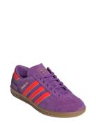 Hamburg W Sport Sport Shoes Sport Sneakers Sport Low Top Sneakers Purple Adidas Originals