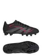 Predator Club Fg/Mg Sport Men Sport Shoes Sport Football Boots Black Adidas Performance