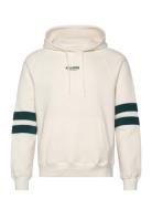 Hco. Guys Sweatshirts Tops Sweatshirts & Hoodies Hoodies Cream Hollister