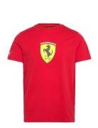 Ferrari Race Colored Big Shield Tee Sport Men Men Sports Clothes Sport Tops Sport T-Skjorte Red PUMA Motorsport