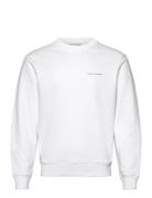 Emerson Designers Sweatshirts & Hoodies Sweatshirts White Tiger Of Sweden