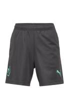 Neymar Jr Creativity Training Short Jr Sport Shorts Sport Shorts Grey PUMA