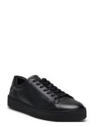 Sinny Designers Sneakers Low-top Sneakers Black Tiger Of Sweden