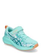 Pre Noosa Tri 16 Ps Shoes Sports Shoes Running-training Shoes Blue Asics